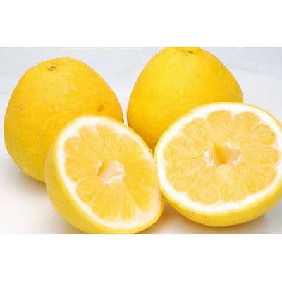 河内晩柑 約8kg【家庭用】【D76-4】【1489237】