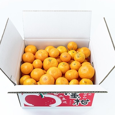 ã嵿¥85幎 芪å4代 æåªã¿ãã äžçãèš³ãã æåªã¿ãã 10kgãC20-12ãã1094603ã