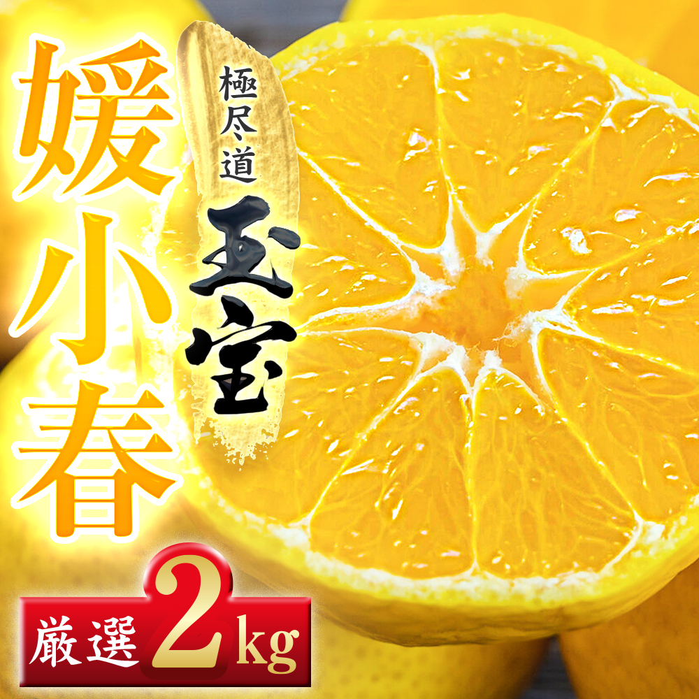【愛媛名産】玉宝媛小春(ひめこはる)　2kg【D64-85】【1623968】 YWTY074