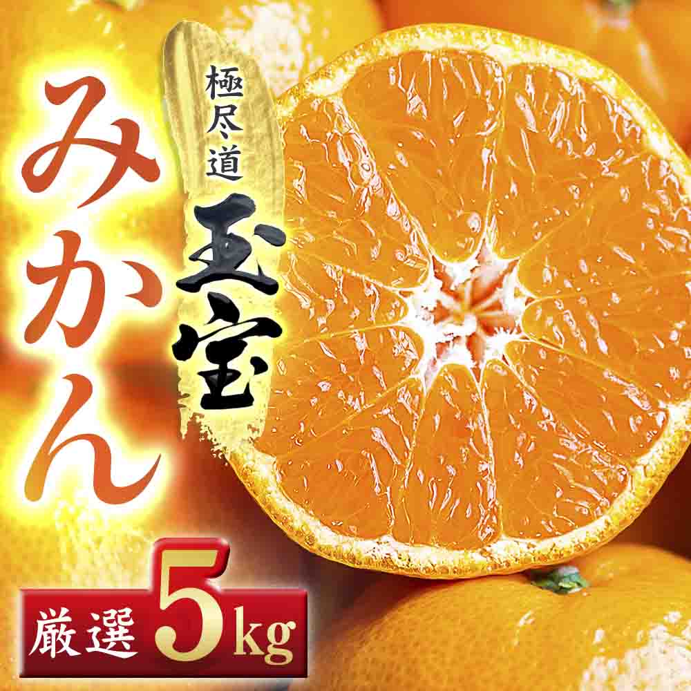 【愛媛名産】玉宝みかん【雫・・小玉】(5kg)【D64-2】【1340914】 YWTY002
