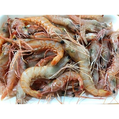 遶ケ荳ュ豌エ逕」縺ョ蝨ー豬キ閠(蜈ォ蟷。豬懃肇)2繧ュ繝ュ!縲色22-267縲代宣埼∽ク榊庄蝨ー蝓滂シ夐屬蟲カ縲代1083422縲