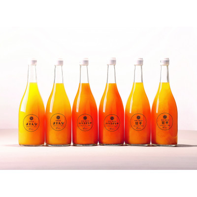 高級柑橘3種ジュース各2本 計6本セット【G56-61】【1606167】