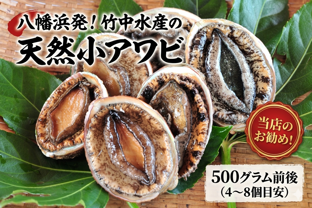 竹中水産の天然小アワビ、殻付きのままでバター焼き500g前後(4〜8個目安)【D22-246】【配送不可地域：離島・北海道・沖縄県】【1073903】 YWTM064