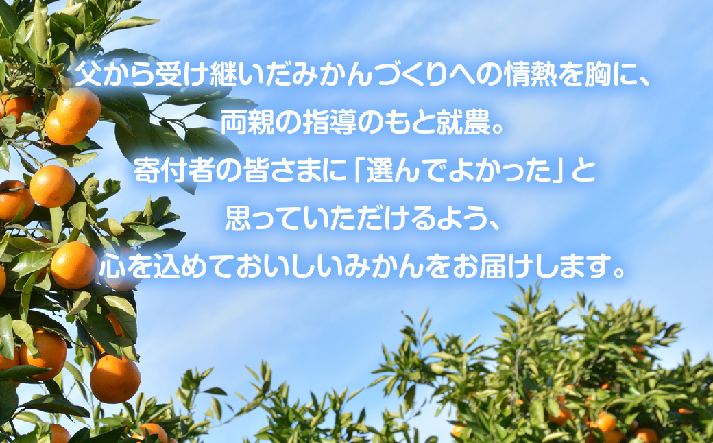 うんしゅうみかんジュース720ml 4本【D101-1】YWTBV001