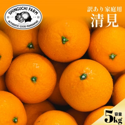 【数量限定】2026年2月下旬より順次発送!【訳あり】清見 5kg【C70-171】【1715702】