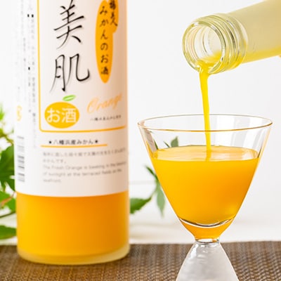 美肌500ml・漁師の酒720mlセット【C03-9】【1043420】