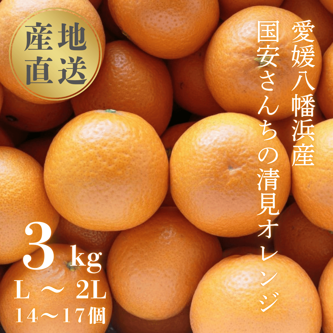 【まるで食べるジュース!越冬完熟品】愛媛産 清見オレンジ 3kg【C20-39】【1594850】 YWTI034