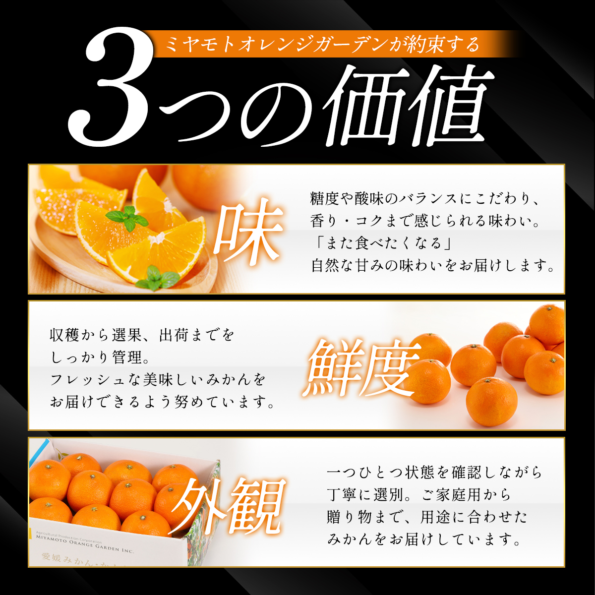 果汁たっぷり ジューシー 清見 5kg │ 愛媛県八幡浜市産【E25-126】【1268370】 YWTAP069