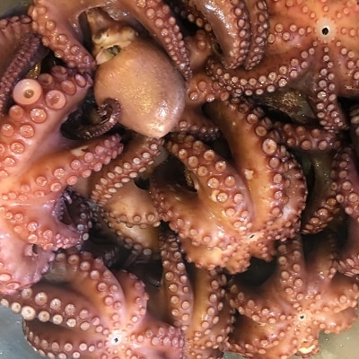 八幡浜発!竹中水産のたっぷり「浜茹で地蛸」三昧!たっぷり2.5kg前後【H22-190】【配送不可地域：離島】【1043153】