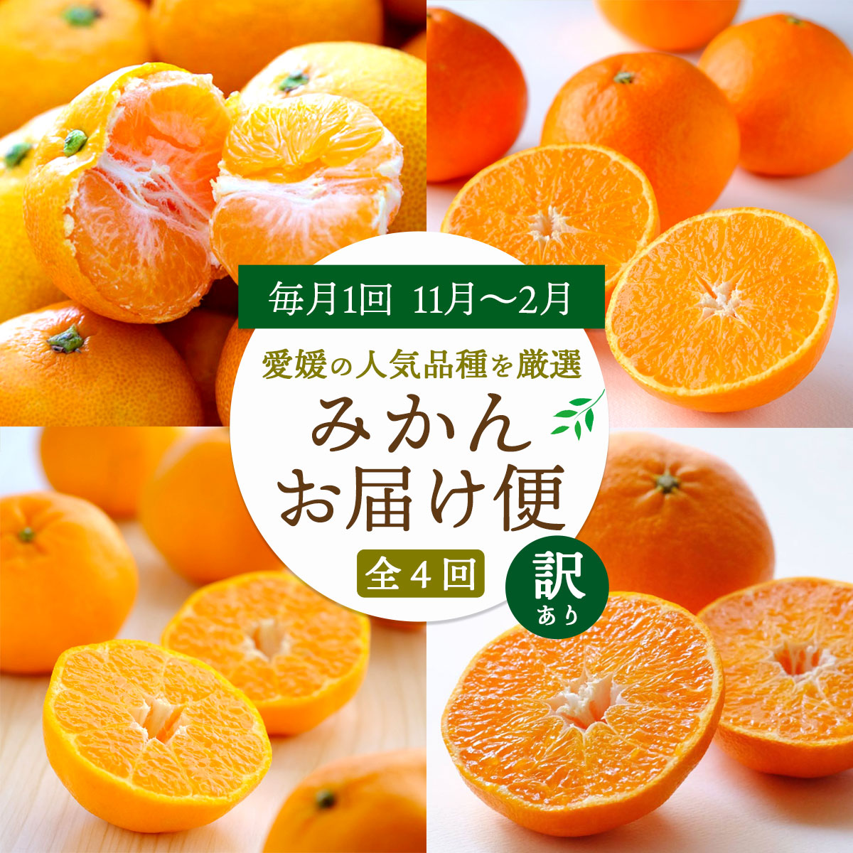 【発送月固定定期便】愛媛の人気品種!かんきつ定期便 11月〜2月(訳あり)全4回【H25-155】【4012889】 YWTAP097