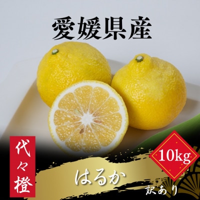 【爽やかな甘さ】【訳あり】はるか 10kg【F83-46】【1625108】