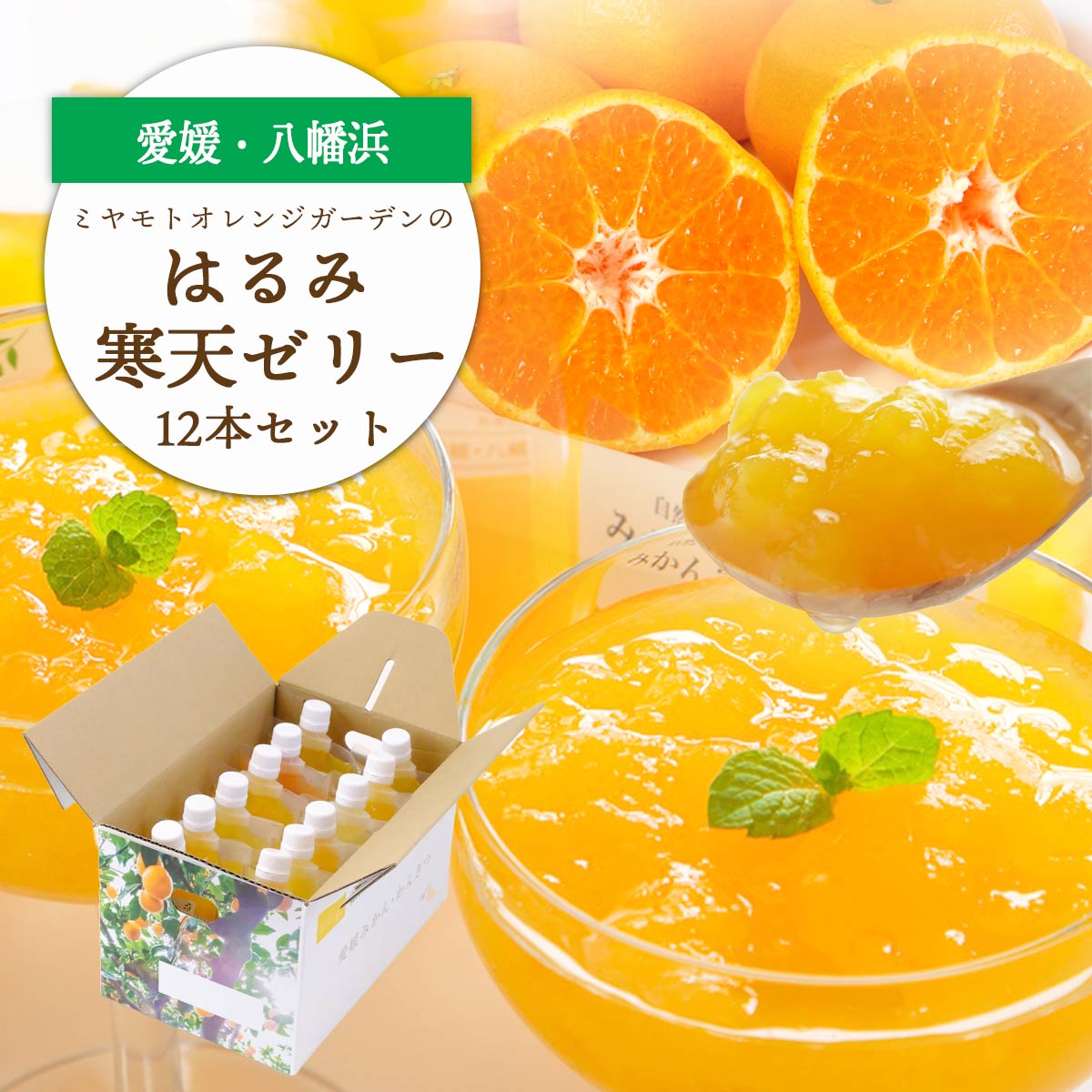 ゲル化剤・pH調整剤不使用!愛媛産 はるみ寒天ゼリー 12本セット【D25-232】【1629916】 YWTAP173