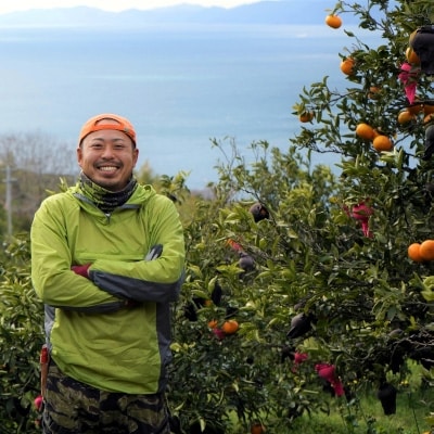 八幡浜産・ぽんかん6kg[数量限定!200セット]【C56-11】【1138963】