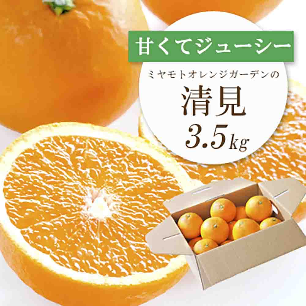 果汁たっぷり ジューシー清見3.5kg【D25-129】【1044409】 YWTAP072