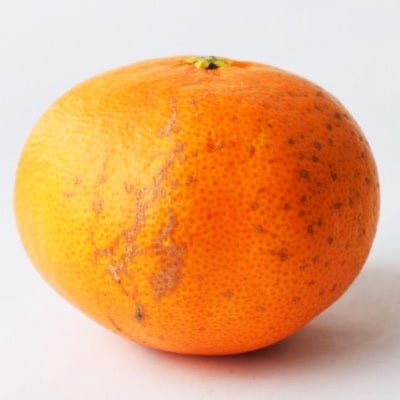 æåªã®é«çŽææ©ã®äžã€!ãçå¹³(ãããºã)ãçŽ2.5kgå
¥ãèš³ããããC28-41ãã1437357ã