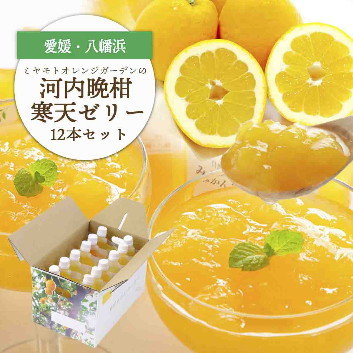 ゲル化剤・pH調整剤不使用!愛媛産 河内晩柑寒天ゼリー 12本セット【D25-223】【1628741】 YWTAP164