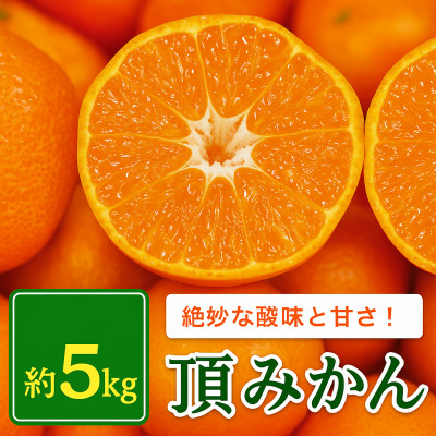 【発送月固定定期便】柑橘【みかん・まどんな・せとか・ニューサマーオレンジ】【H31-46】全4回【4058612】