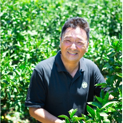 【愛媛名産】玉宝はれひめ　5kg【C64-71】【1621813】