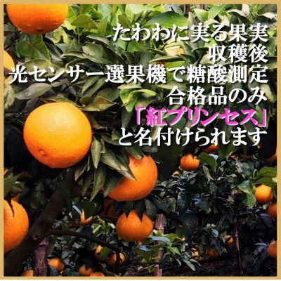 ææ©çã®ãµã©ãã¬ãã!!ããŸã©ããªããšãçå¹³ããèŠªã«æã€!!ããçŽ
ããªã³ã»ã¹ã2ãããD39-76ããé
éäžå¯å°åïŒé¢å³¶ãã1621674ã