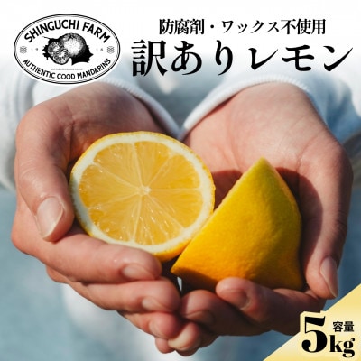 【太陽の恵みをギュッと凝縮】訳あり 愛媛レモン5kg 防腐剤・ワックス不使用【C70-22】【1470676】