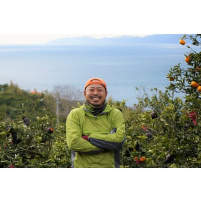 柑橘の鬼たちがつくる八幡浜産・鬼マドンナ(2.7kg〜3.0kg)[贈答用]【E56-16】【配送不可地域：離島】【1250206】