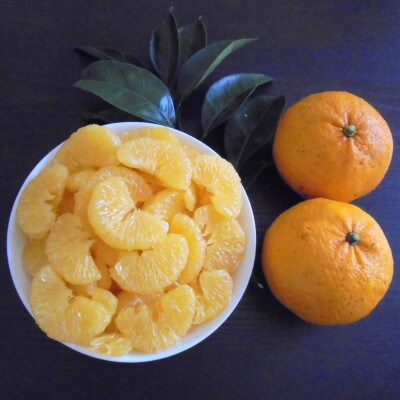 【ほろ苦くて甘酸っぱい】【訳あり】甘夏 5kg【C83-17】【1549107】