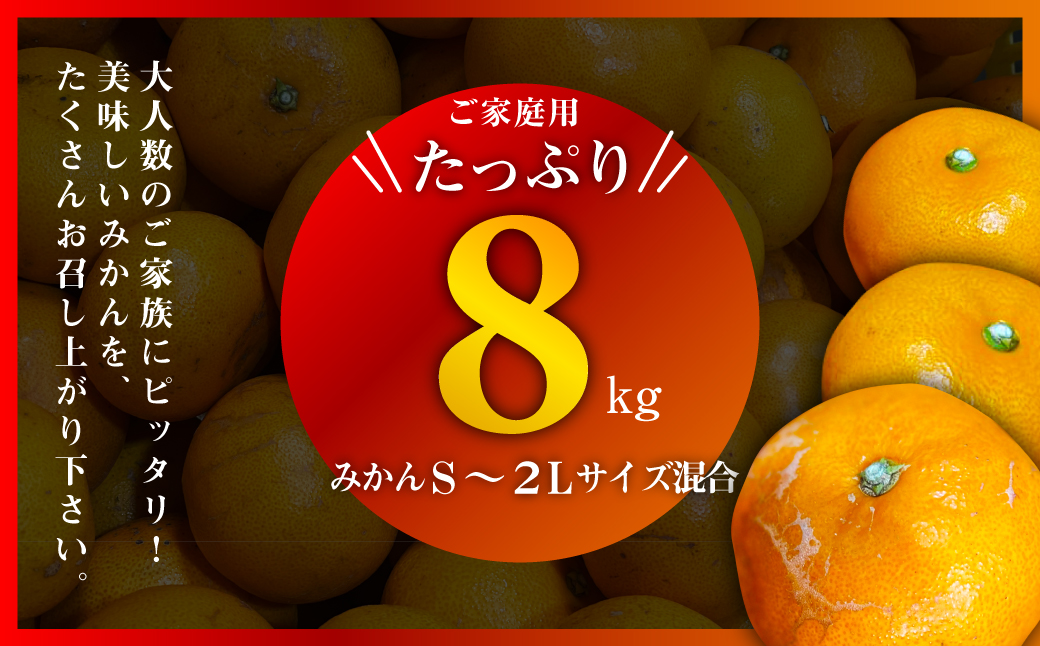 【訳あり(家庭用)】三代目がつくる愛媛みかん 8kg【C31-40】【1556518】 YWTAC029