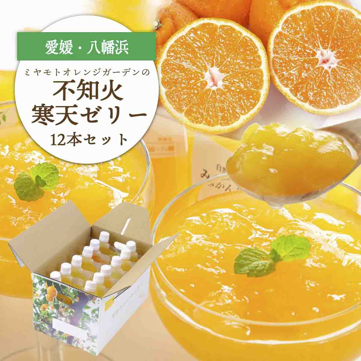 ゲル化剤・pH調整剤不使用!愛媛産 不知火寒天ゼリー 12本セット【D25-224】【1628746】 YWTAP165