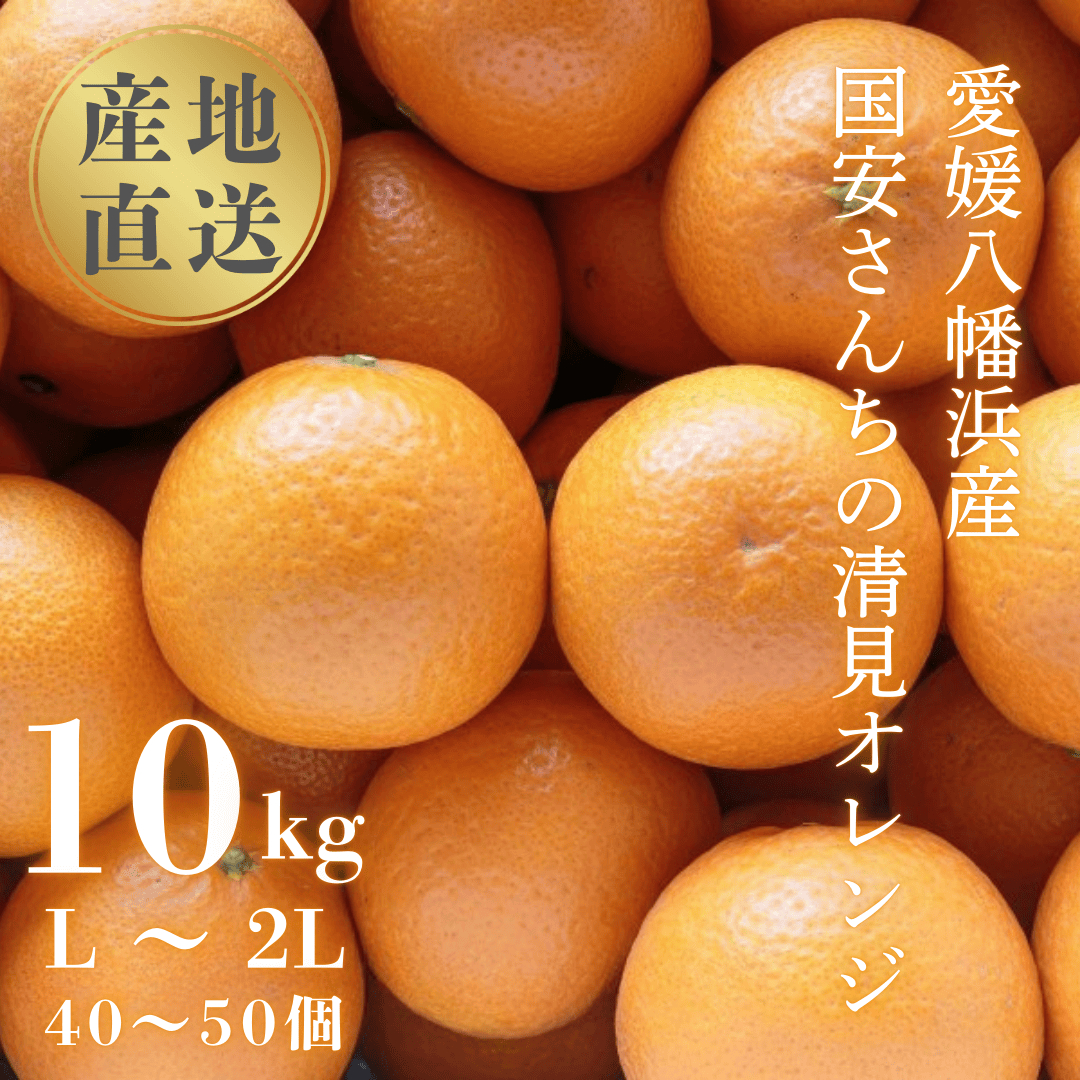 【まるで食べるジュース!越冬完熟品】愛媛産 清見オレンジ 10kg【G20-41】【1594852】 YWTI036