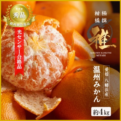 極撰柑橘【雅】光センサー合格品「八幡浜温州みかん」4キロ 【C39-41】【配送不可地域：離島】【1339046】