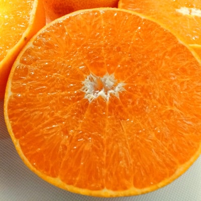 æå²ææš¹åãããšããçŽ3kgãD71-23ãã1598823ã