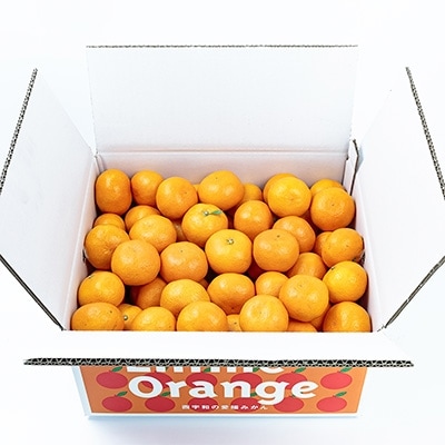 ãç³åºŠ11åºŠä»¥äž é
ž1.0ä»¥äž ç³é
žéžå¥åãæåªã¿ãã 10kgãD20-3ãã1094602ã