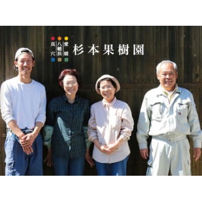 【家庭用】真穴、八寿みかん(南柑20号)5kg【C34-40】【1692446】