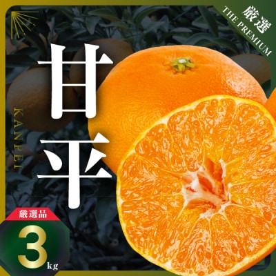三代目がつくる甘平3kg【C31-1】【1042519】