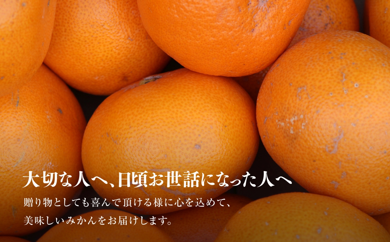 【訳あり】星乃せとか 柑橘の大トロ(3kg)【C45-87】【1535970】