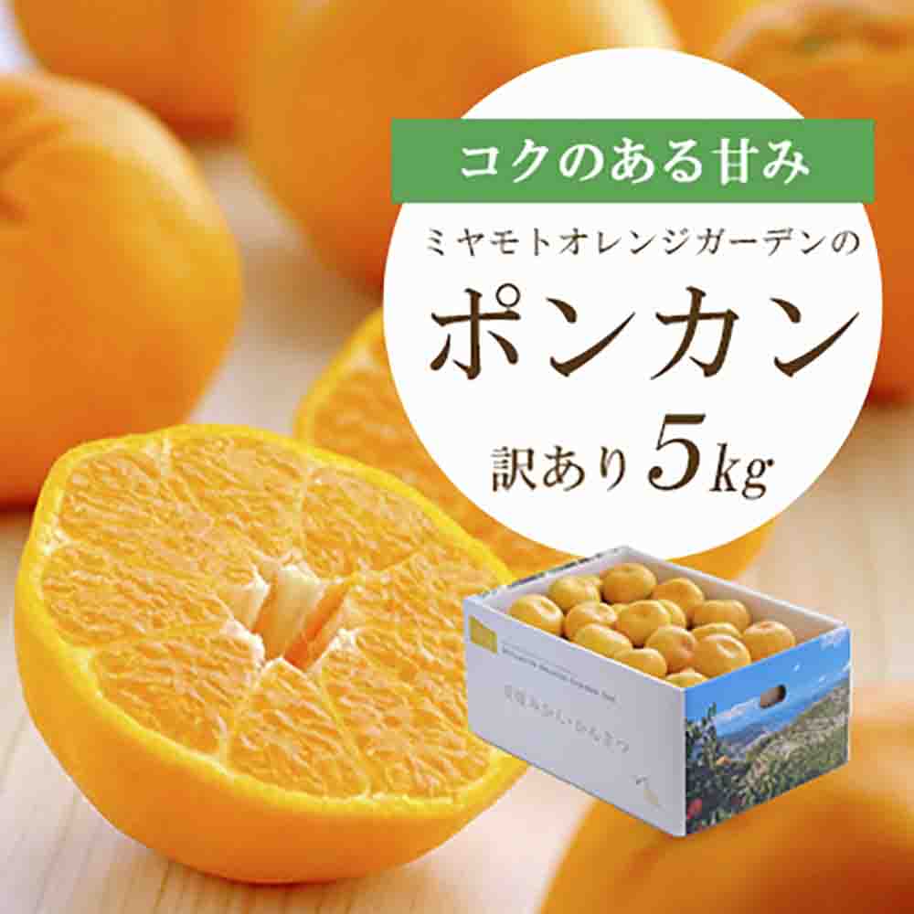 ãå
è¡åä»ãæåªã®æ°æ¥ææ© è³éãªéŠãã®ãã³ã«ã³ 5kgãèš³ããããC25-135ãã1248059ã YWTAP078