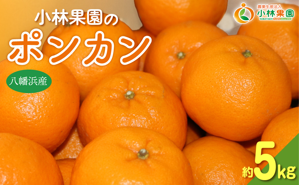 【先行受付】小林果園のポンカン(約5kg)【C24-18】 YWTAD011