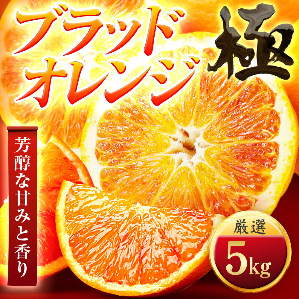 【太陽をたっぷり浴びた】ブラッドオレンジ(タロッコ)【極】5kg【E49-88】【1621800】 YWTZ073