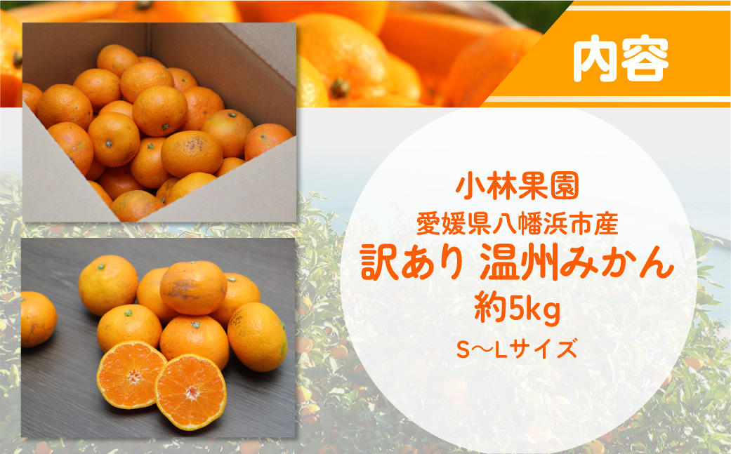 【先行受付】小林果園の愛媛みかん(約5kg)【訳あり】【C24-15】 YWTAD008