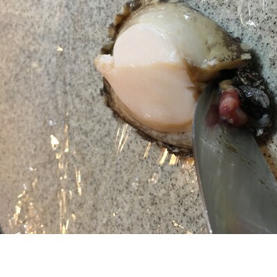 【2ヵ月毎定期便】隔月大型アワビ800gを全3回お届け!【H22-285】全3回【配送不可地域：離島・北海道・沖縄県】【4076446】