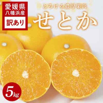 【先行受付】 【訳あり】とろける濃厚柑橘 せとか5kg 愛媛県八幡浜産【C25-336】【1715050】 YWTAP277