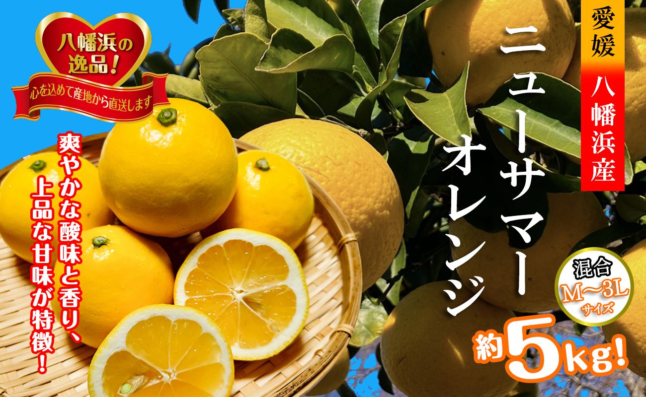 2026年4月発送開始　さわやかな香りと上品な甘さ!「ニューサマーオレンジ」約5キロ【D39-83】【配送不可地域：離島】【1649781】 YWTF058