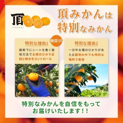 äžä»£ç®ãã€ããé«å質ãé ã¿ããã2kgã1181949ã