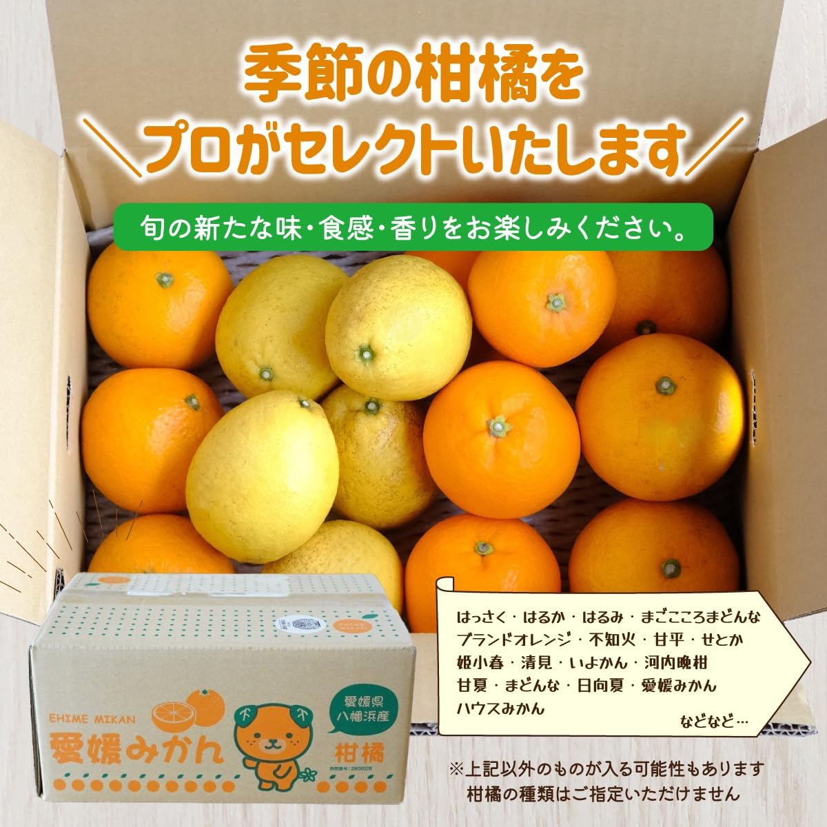 【先行受付】愛媛県八幡浜産 旬のかんきつ詰め合わせバラエティセット 計3kg【訳あり】【D25-294】【1704524】 YWTAP235