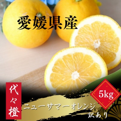 【初夏の味】【訳あり】ニューサマーオレンジ 5kg【C83-18】【1549108】