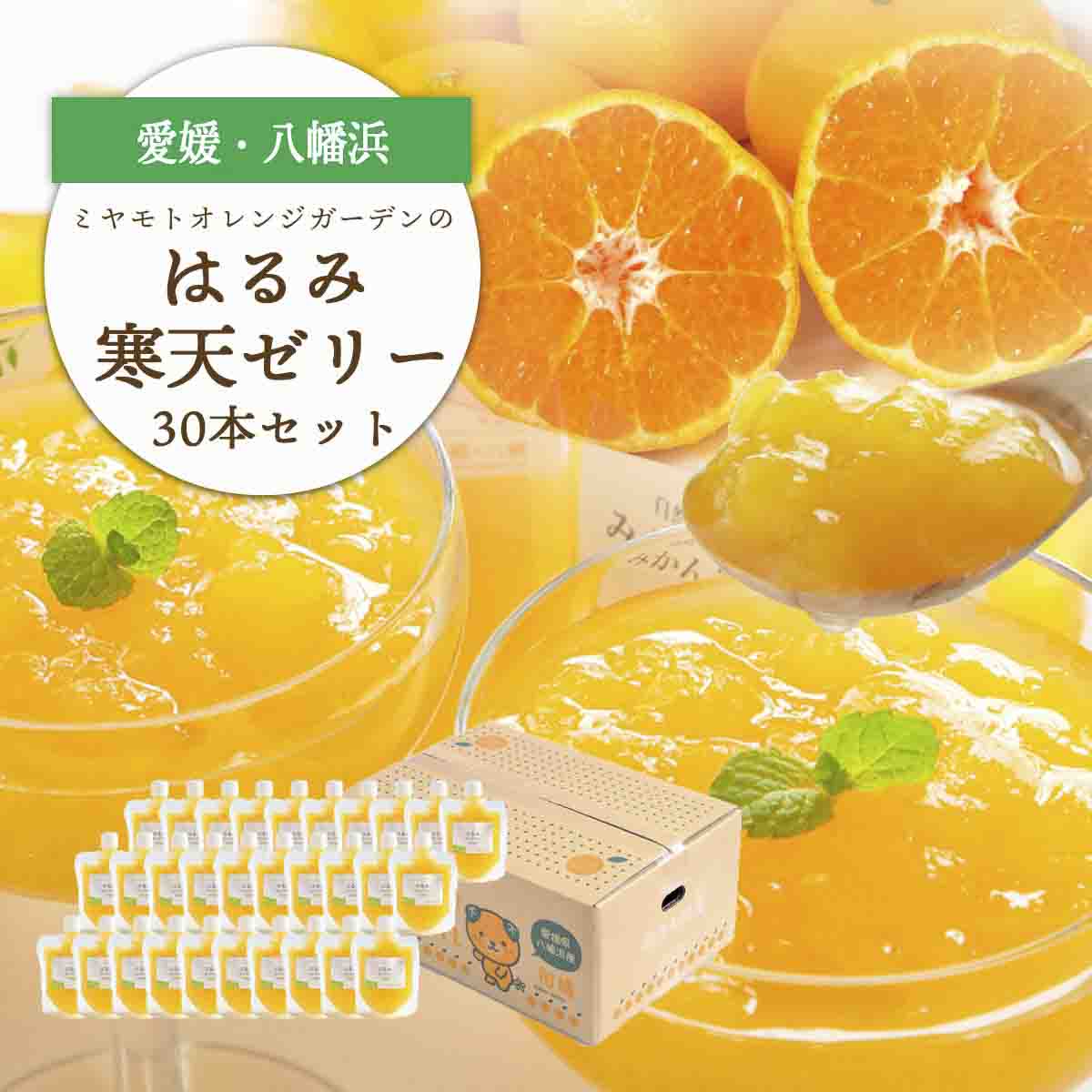 ゲル化剤・pH調整剤不使用!愛媛産 はるみ寒天ゼリー 30本セット【H25-233】【1629990】 YWTAP174