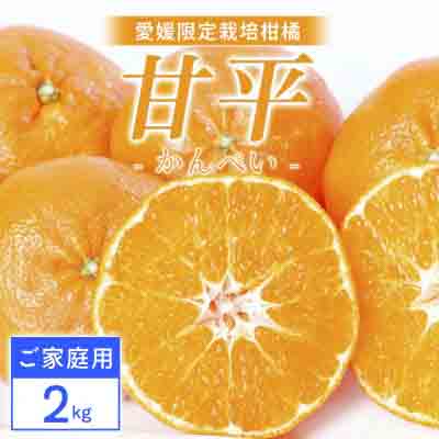 【ご家庭用】甘平 2kg 愛媛県 八幡浜産 西宇和地区 扁平で濃い味 新食感【C25-311】【1713687】 YWTAP252