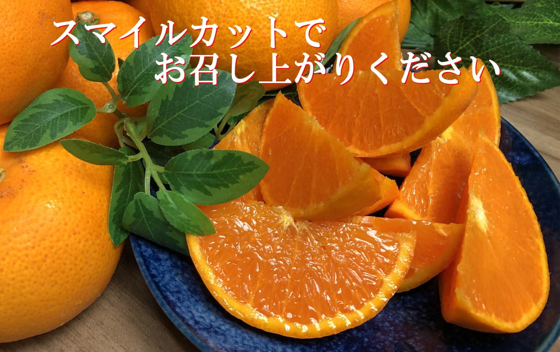 2027年2月〜順次出荷　柑橘の大トロ「せとか」約2kg 【C39-55】【配送不可地域：離島】【1462367】 YWTF030