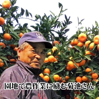 ãJASèªèšŒææ©æ œå¹ãæ¿åãªå³ããã®æž©å·ã¿ãã!!èæ± 蟲åãåæ20å·ã5kgãC39-23ãã1044610ã