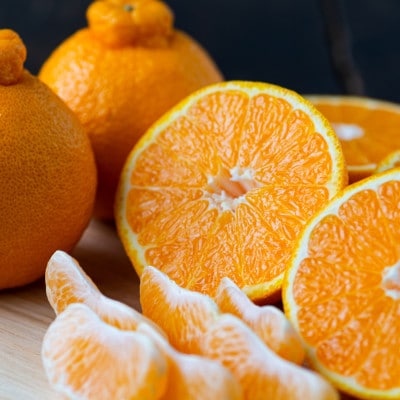 【愛媛名産】玉宝デコ(不知火)　10kg【H64-51】【1511377】